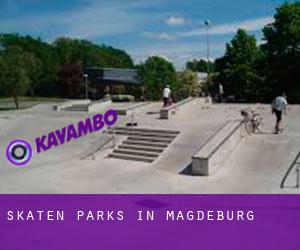Skaten Parks in Magdeburg