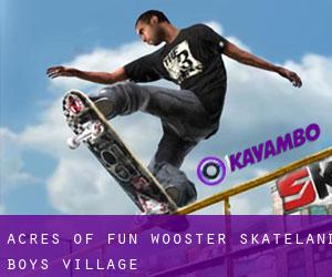 Acres of Fun-Wooster Skateland (Boys Village)