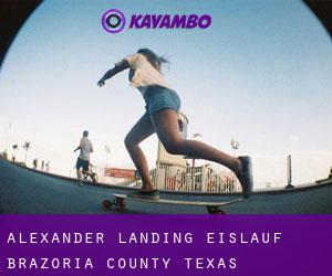Alexander Landing eislauf (Brazoria County, Texas)