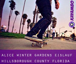Alice Winter Gardens eislauf (Hillsborough County, Florida)