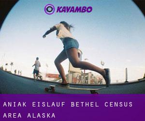 Aniak eislauf (Bethel Census Area, Alaska)