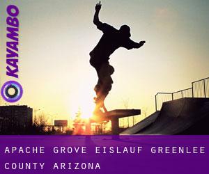 Apache Grove eislauf (Greenlee County, Arizona)