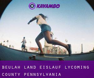 Beulah Land eislauf (Lycoming County, Pennsylvania)