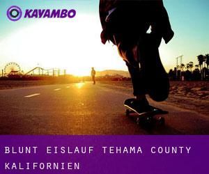 Blunt eislauf (Tehama County, Kalifornien)