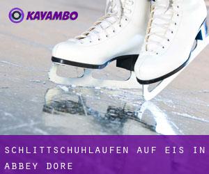 Schlittschuhlaufen auf Eis in Abbey Dore 