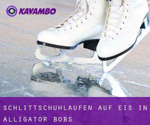 Schlittschuhlaufen auf Eis in Alligator Bobs 