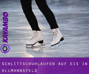 Schlittschuhlaufen auf Eis in Allmannsfeld 