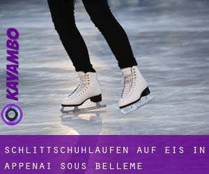 Schlittschuhlaufen auf Eis in Appenai-sous-Bellême 