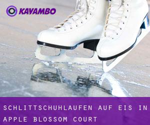 Schlittschuhlaufen auf Eis in Apple Blossom Court 
