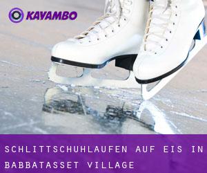Schlittschuhlaufen auf Eis in Babbatasset Village 