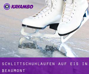 Schlittschuhlaufen auf Eis in Beaumont 