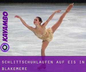 Schlittschuhlaufen auf Eis in Blakemere Schlittschuhlaufen auf Eis in Blakemere