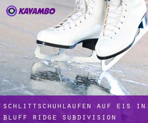 Schlittschuhlaufen auf Eis in Bluff Ridge Subdivision 