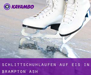 Schlittschuhlaufen auf Eis in Brampton Ash 