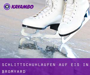 Schlittschuhlaufen auf Eis in Bromyard Schlittschuhlaufen auf Eis in Bromyard