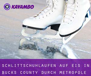 Schlittschuhlaufen auf Eis in Bucks County durch metropole - Seite 8