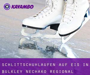 Schlittschuhlaufen auf Eis in Bulkley-Nechako Regional District 