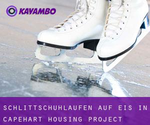 Schlittschuhlaufen auf Eis in Capehart Housing Project 