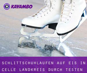 Schlittschuhlaufen auf Eis in Celle Landkreis durch testen besiedelten gebiet - Seite 1