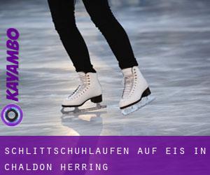 Schlittschuhlaufen auf Eis in Chaldon Herring 