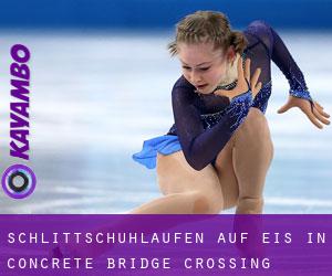 Schlittschuhlaufen auf Eis in Concrete Bridge Crossing 
