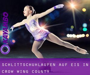 Schlittschuhlaufen auf Eis in Crow Wing County 