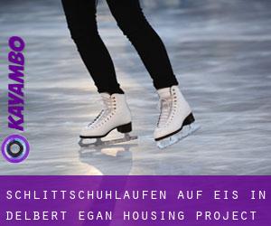 Schlittschuhlaufen auf Eis in Delbert Egan Housing Project 