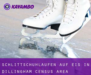Schlittschuhlaufen auf Eis in Dillingham Census Area 