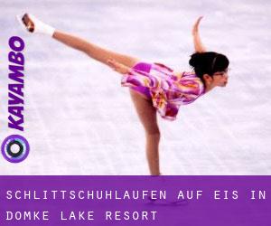 Schlittschuhlaufen auf Eis in Domke Lake Resort 