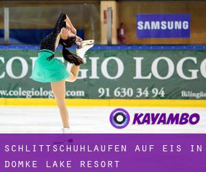 Schlittschuhlaufen auf Eis in Domke Lake Resort 