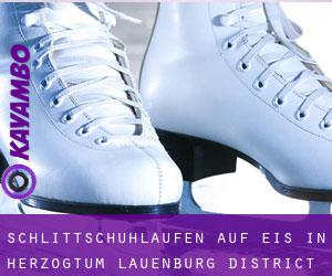 Schlittschuhlaufen auf Eis in Herzogtum Lauenburg District 