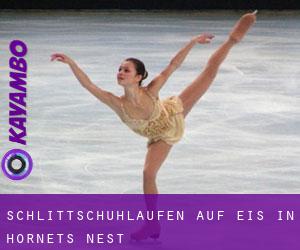 Schlittschuhlaufen auf Eis in Hornets Nest Schlittschuhlaufen auf Eis in Hornets Nest