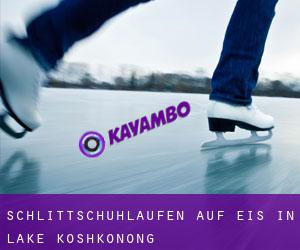 Schlittschuhlaufen auf Eis in Lake Koshkonong 