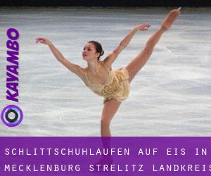 Schlittschuhlaufen auf Eis in Mecklenburg-Strelitz Landkreis durch metropole - Seite 1