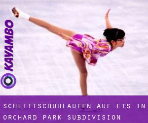 Schlittschuhlaufen auf Eis in Orchard Park Subdivision Number 3-7 