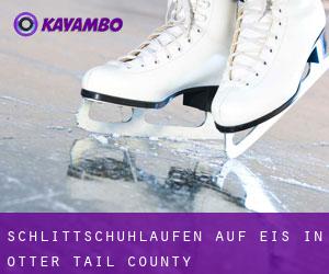 Schlittschuhlaufen auf Eis in Otter Tail County 