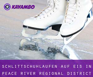 Schlittschuhlaufen auf Eis in Peace River Regional District durch metropole - Seite 1