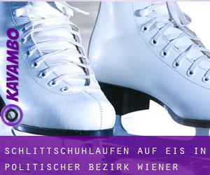Schlittschuhlaufen auf Eis in Politischer Bezirk Wiener Neustadt durch hauptstadt - Seite 1