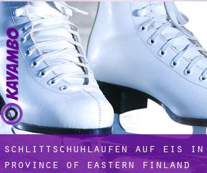Schlittschuhlaufen auf Eis in Province of Eastern Finland 