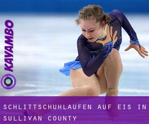 Schlittschuhlaufen auf Eis in Sullivan County Schlittschuhlaufen auf Eis in Sullivan County
