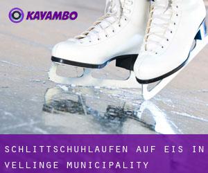 Schlittschuhlaufen auf Eis in Vellinge Municipality Schlittschuhlaufen auf Eis in Vellinge Municipality