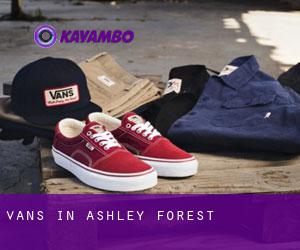 Vans in Ashley Forest