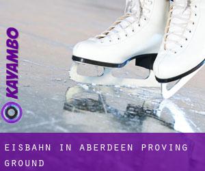 Eisbahn in Aberdeen Proving Ground