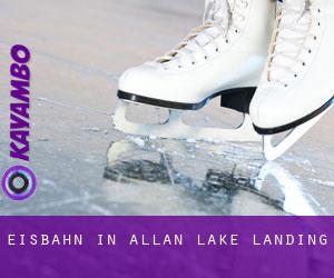 Eisbahn in Allan Lake Landing