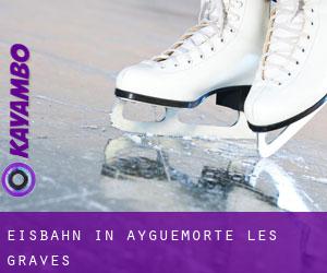 Eisbahn in Ayguemorte-les-Graves