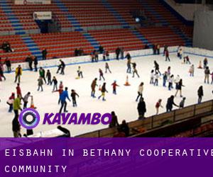 Eisbahn in Bethany Cooperative Community