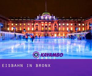 Eisbahn in Bronx Eisbahn in Bronx