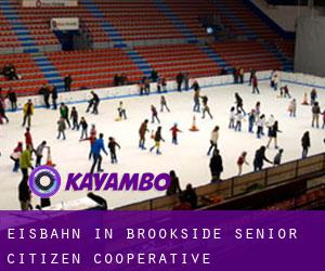 Eisbahn in Brookside Senior Citizen Cooperative