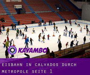 Eisbahn in Calvados durch metropole - Seite 1