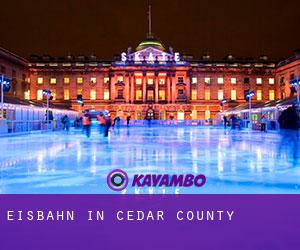 Eisbahn in Cedar County Eisbahn in Cedar County